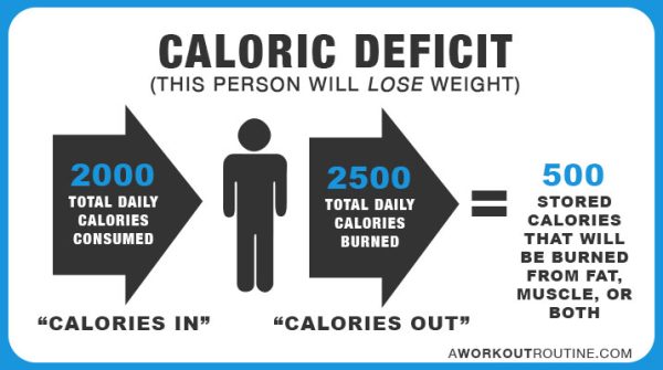 How Many Calories Should I Eat Daily To Lose Weight?