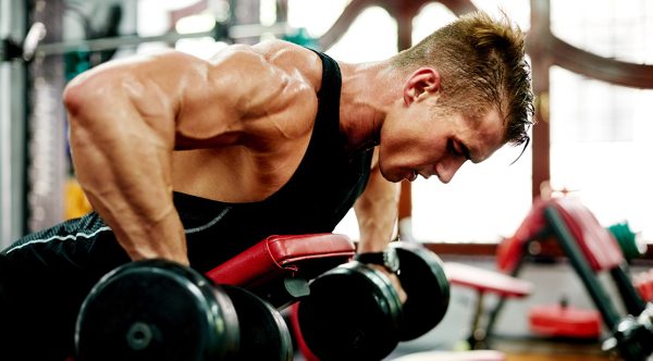 What Are The Top 5 Most Important Gym Exercises?