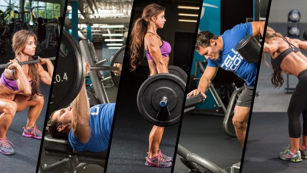 What Are The Top 5 Most Important Gym Exercises?