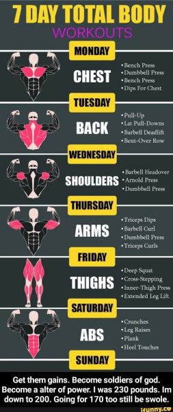 What Is The Best 7 Day Workout?