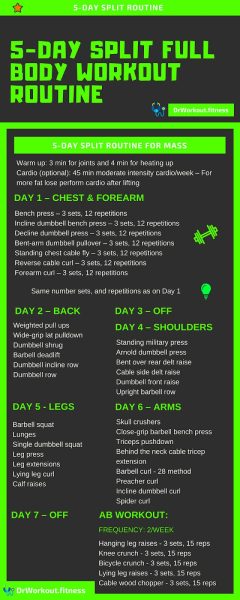 Whats A Good 5 Day Workout Routine?