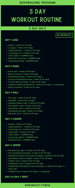 Whats A Good 5 Day Workout Routine?