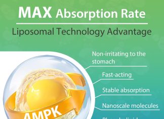 ampk activator 2000 mg high absorption liposomal ampk activator for women man berberine hcl supplement for antioxidant s 3