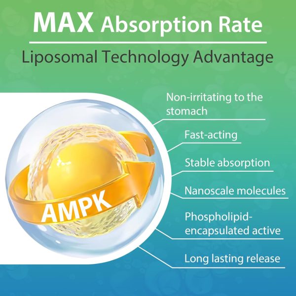 AMPK Activator 2000 mg - High Absorption Liposomal AMPK Activator for Women  Man, Berberine HCL Supplement for Antioxidant Support Cellular Balance and Healthy Aging, 60 Softgels